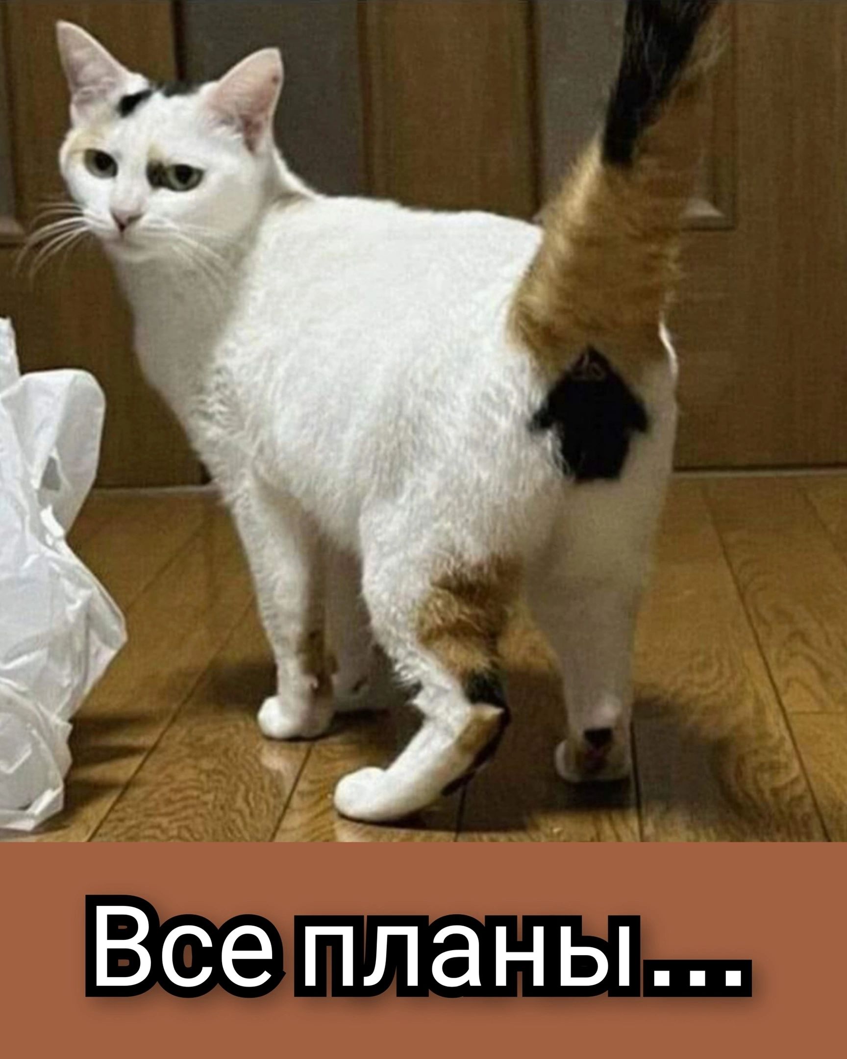 _ г Все планы