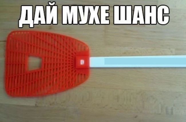 ДАЙ МУХЕ ШАНС