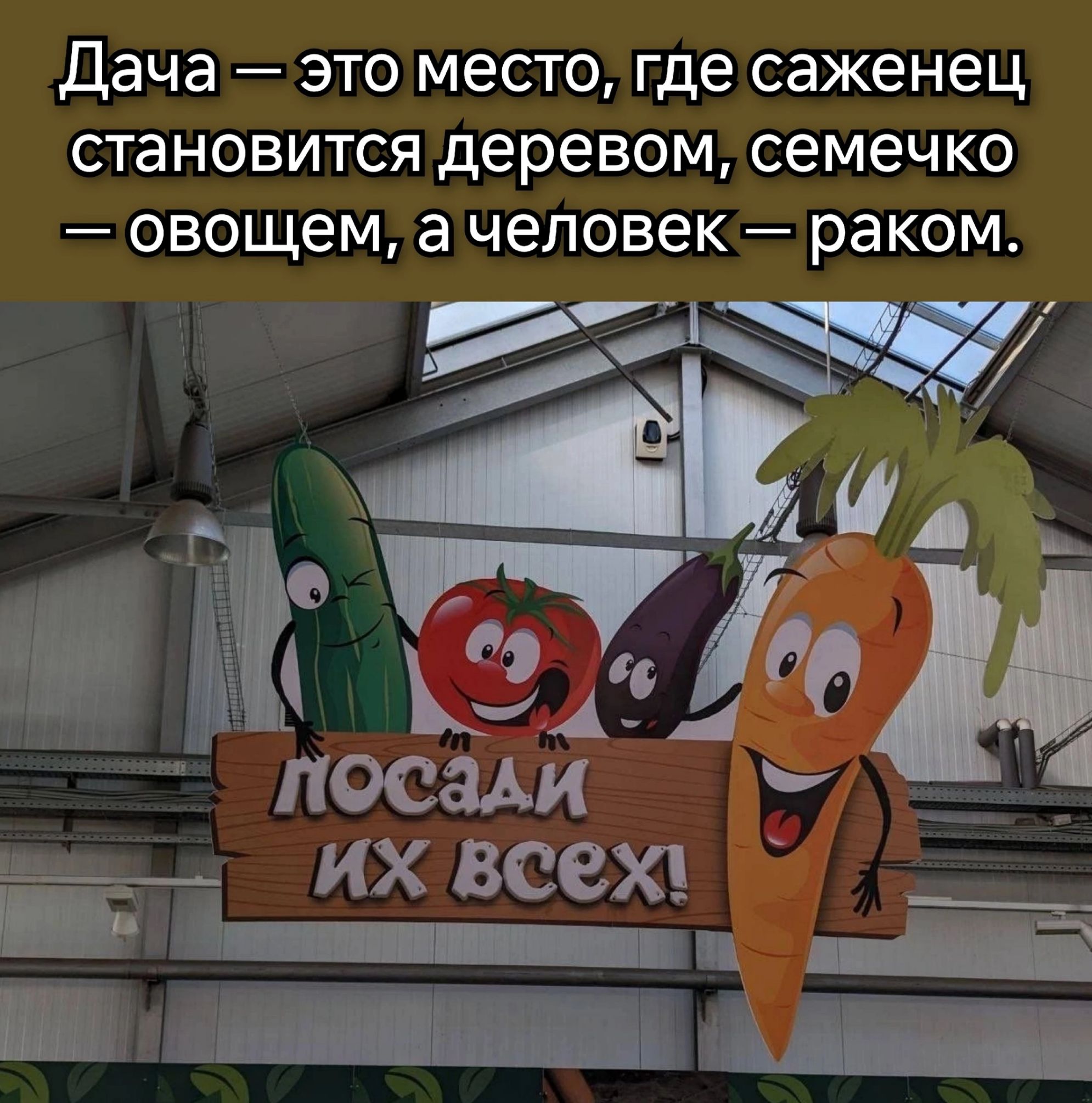 Дача _ это место где саженец СТВНОВИТСЯ деревом семечко овощем а человек раком