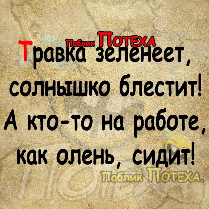 ТравЮдНЁдеет солнышко блестит А кто то на работе как олень сидит и Глідп