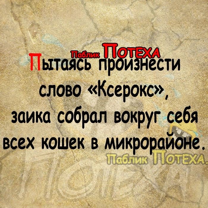 Пытоясггжти слово Ксерокс заика собрал вокруг себя всех кошек в микрорцидгіе