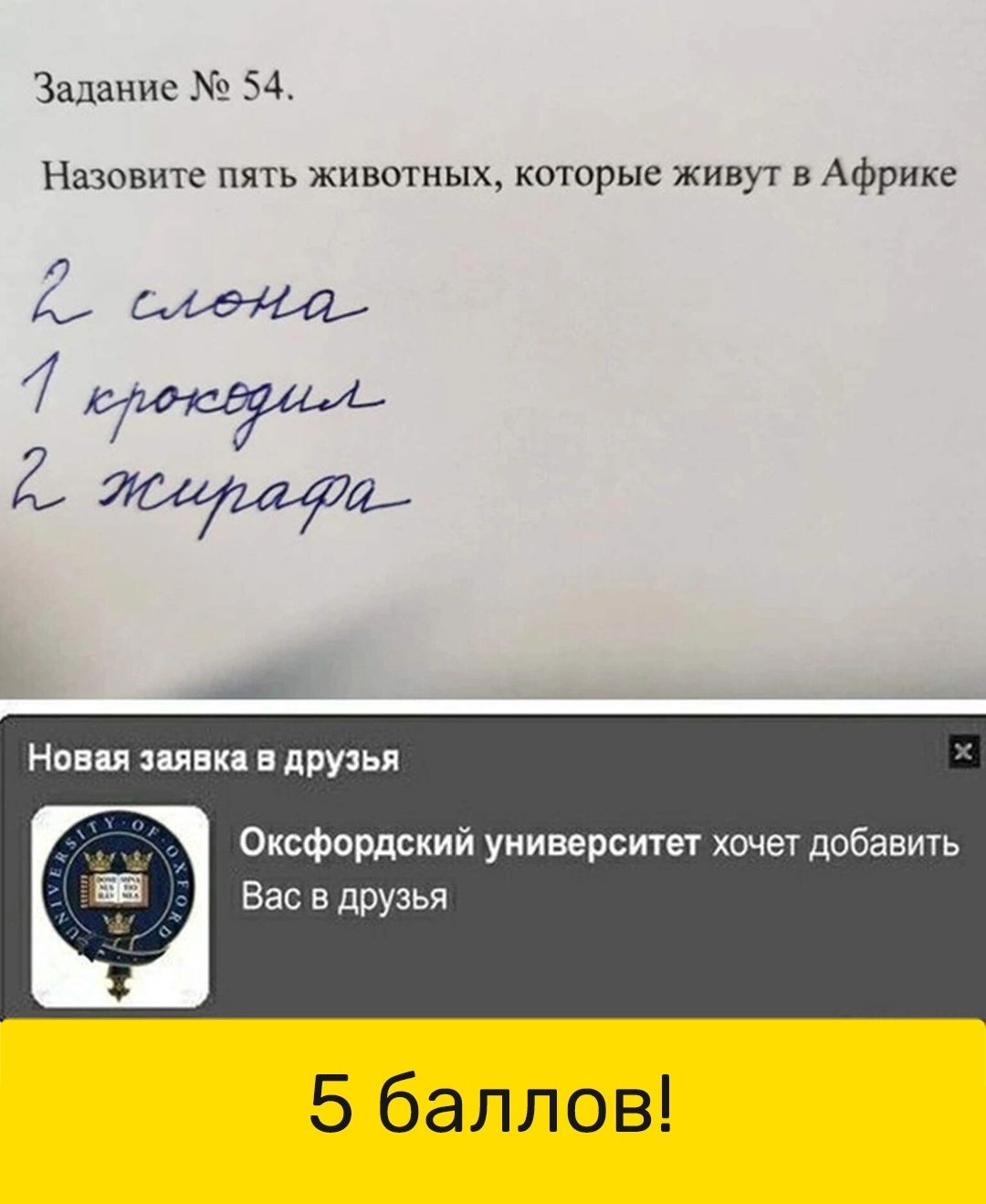 Задание 54 Назовите пять животных которые живут в Африке А 2 Я Нов л пинк друзья Оксфордский университет хочет добавить Вас в друзья 5 баллов