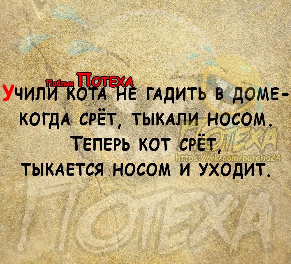 Училт ГАДИТЬ в доме КОГДА сгЁт тыклпи носдм Теперь кот с тыкдвтся носом и УХО ит