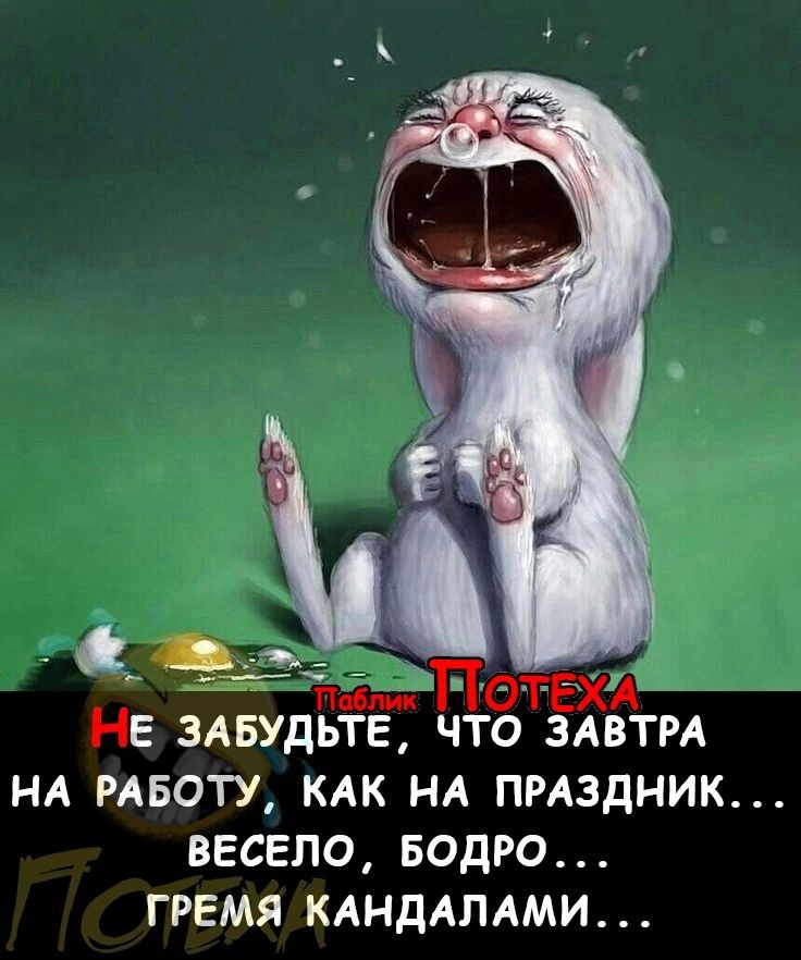 0 НЕ ЗАБУДЬТЕ ЧТО ЗАВТРА НА РАБОТУ КАК НА ПРАЗДНИК ВЕСЕПО БОДРО ГРЕМЯ КАНДАЛАМИ