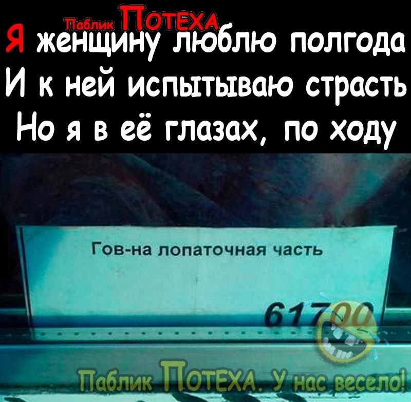 П Я жеЙіину Ёюблю полгода И к ней испытываю страсть Но я в её глазах по ходу Ч