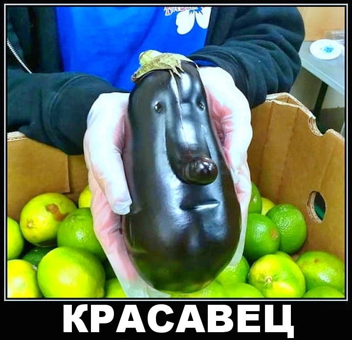 КРАСАВЕЦ