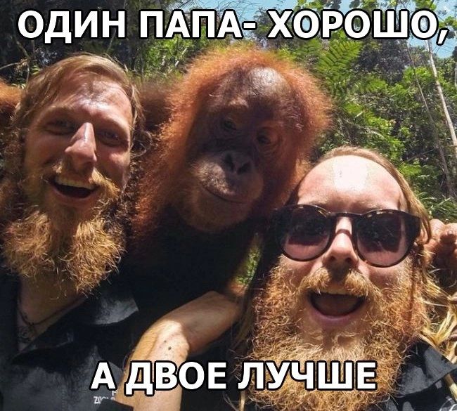 ОДИН ПАПАЕ ХФРОЁЙ