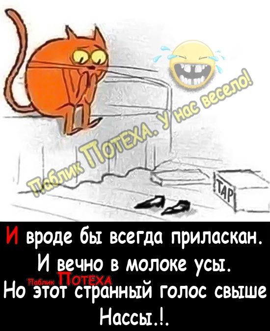 И вроде бы всегда приласкан И вечно в молоке усы Нот этот тТЁТтЪанный голос свыше Нассы