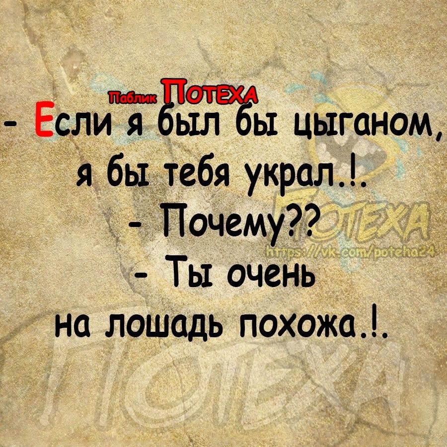 Если я _РЖЫ цыганом бы тебя украл Почему я Ты очень на лошадь похожа