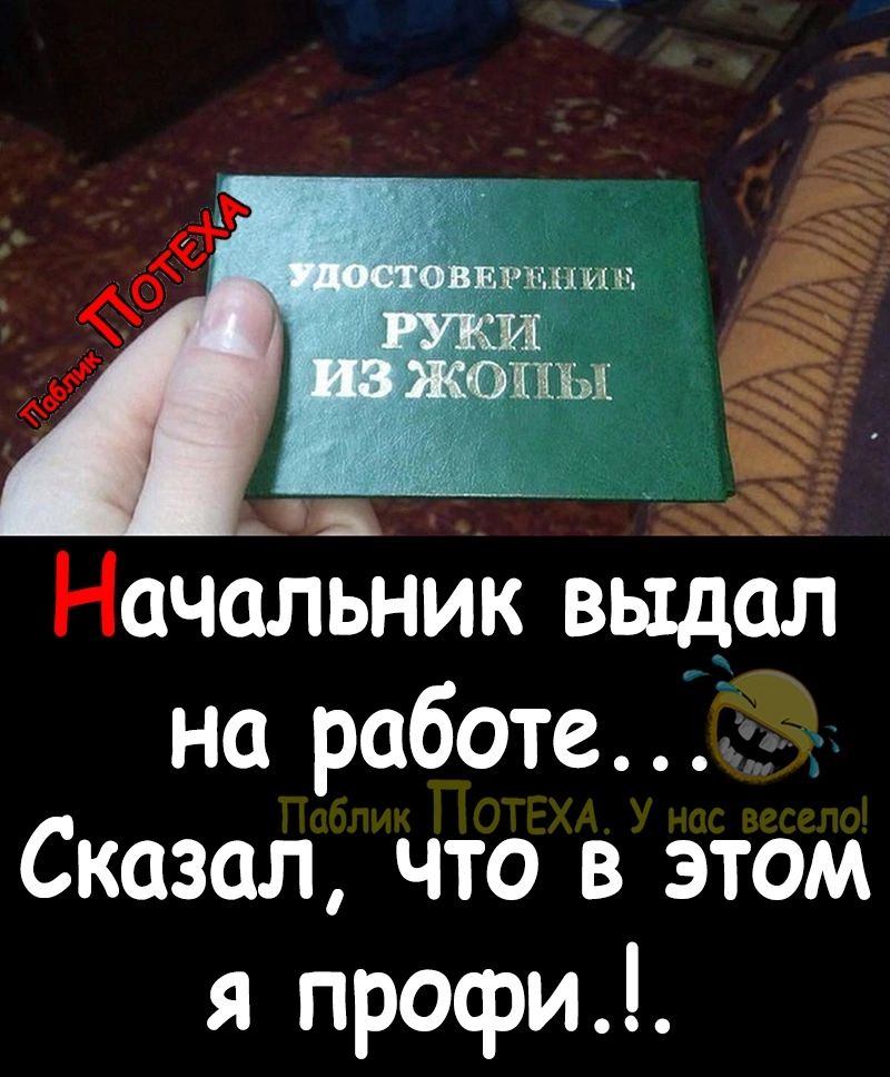 1 _5 Начальник выдал на работе Сказал что в этом я профи