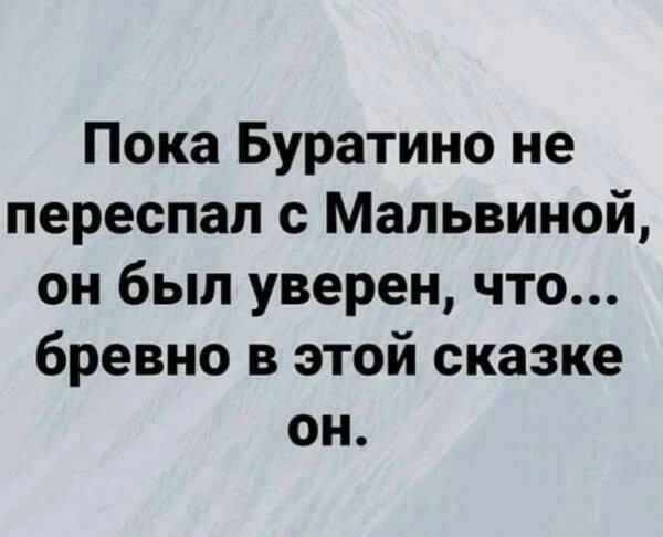 Пока Буратино не переспал с Мальвиной он был уверен что бревно в этой сказке он