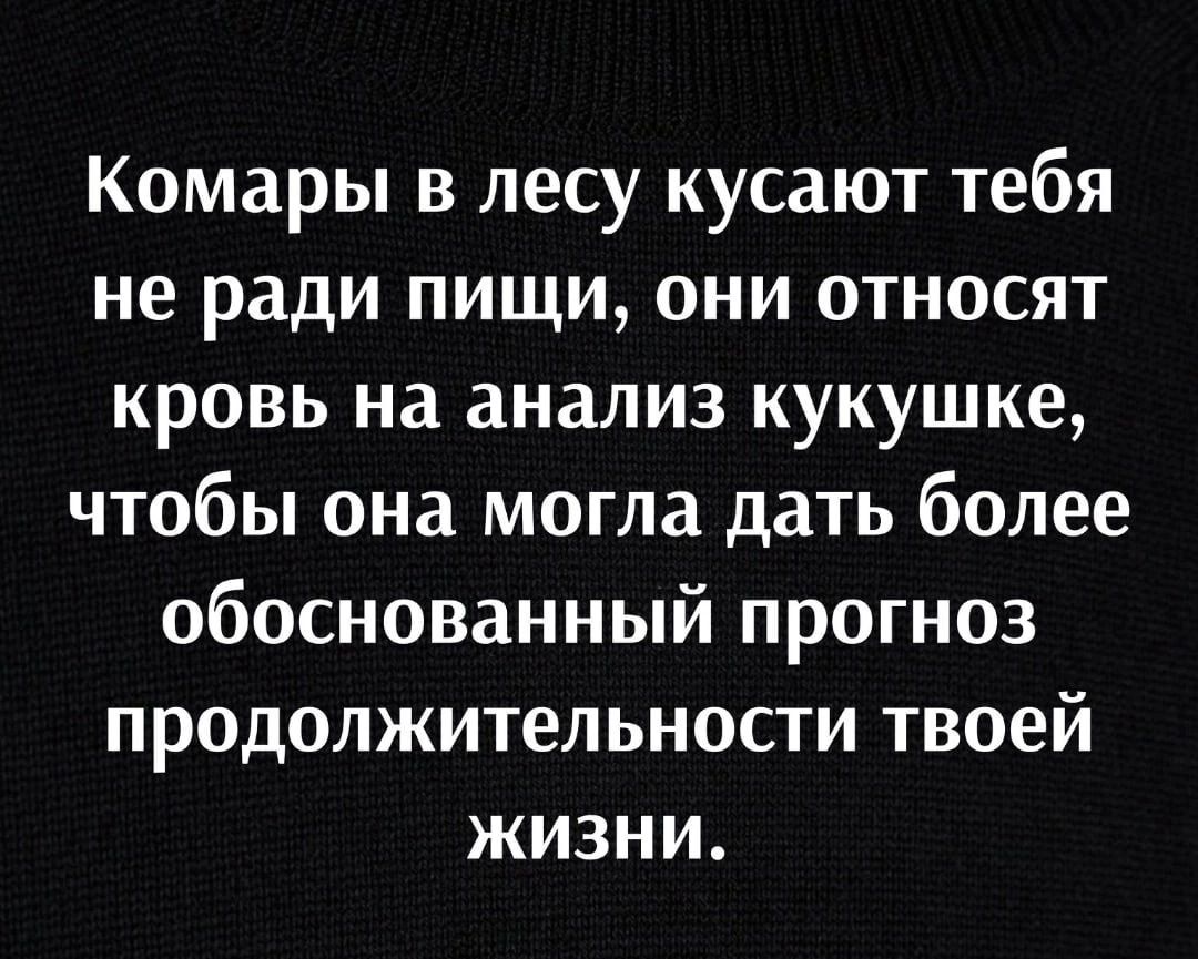 Комары в лесу кусают тебя не ради пищи они относят кровь на анализ кукушке чтобы она могла дать более обоснованный прогноз продолжительности твоей жизни