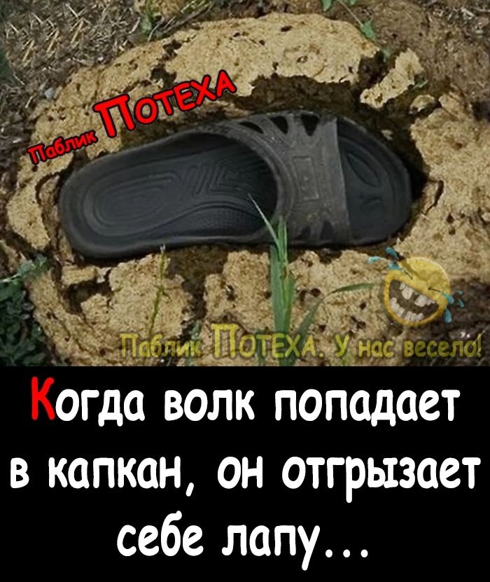 в капкан он отгрызает себе лапу