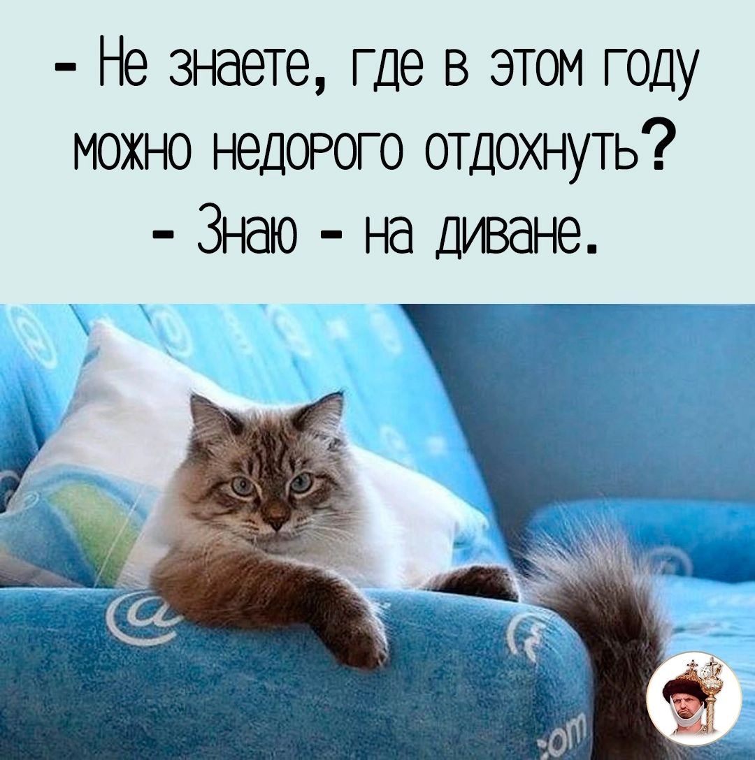 Не знаете где в этом году можт ю нед0Рого отдохнуть Знао на диване