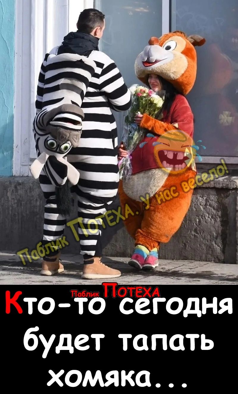 то то сегодня будет топать хомяка