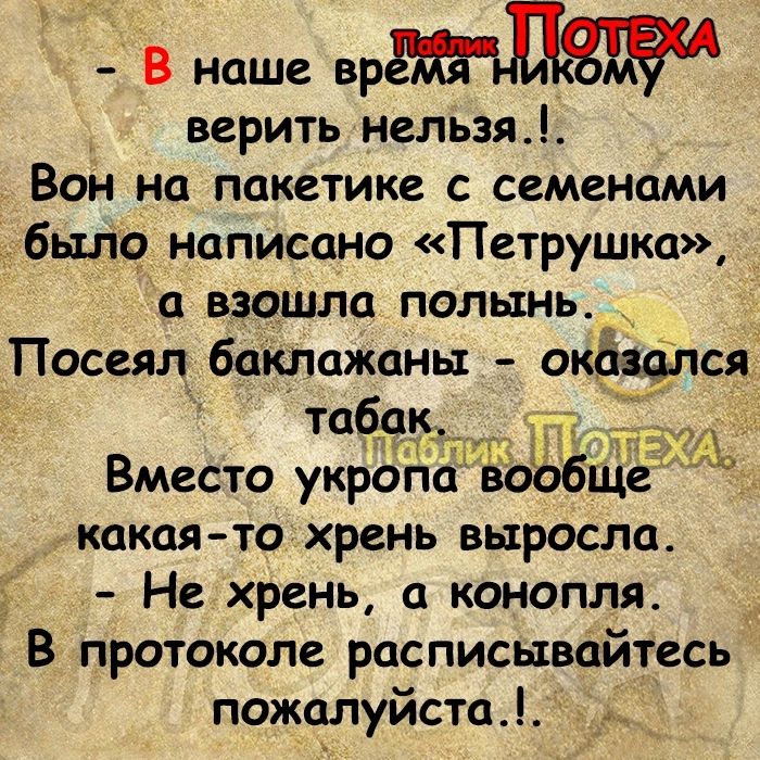 В наше верить нельзя Вон на пакетике с семенами было написано Петрушка а взошла полынь Посеял баклажаны окёщлся табак шт Вместо укропа во бщг какая то хрень выросла Не хрень а конопля В протоколе расписывайтесь пожалуйста _