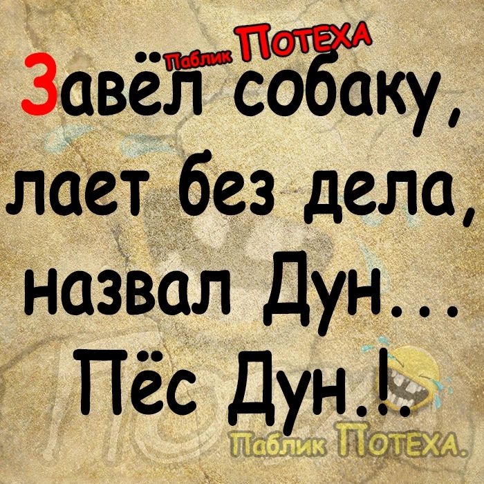 ЗавёйЁбпёгщ лает без дела назвал Дун Пёс Дунай