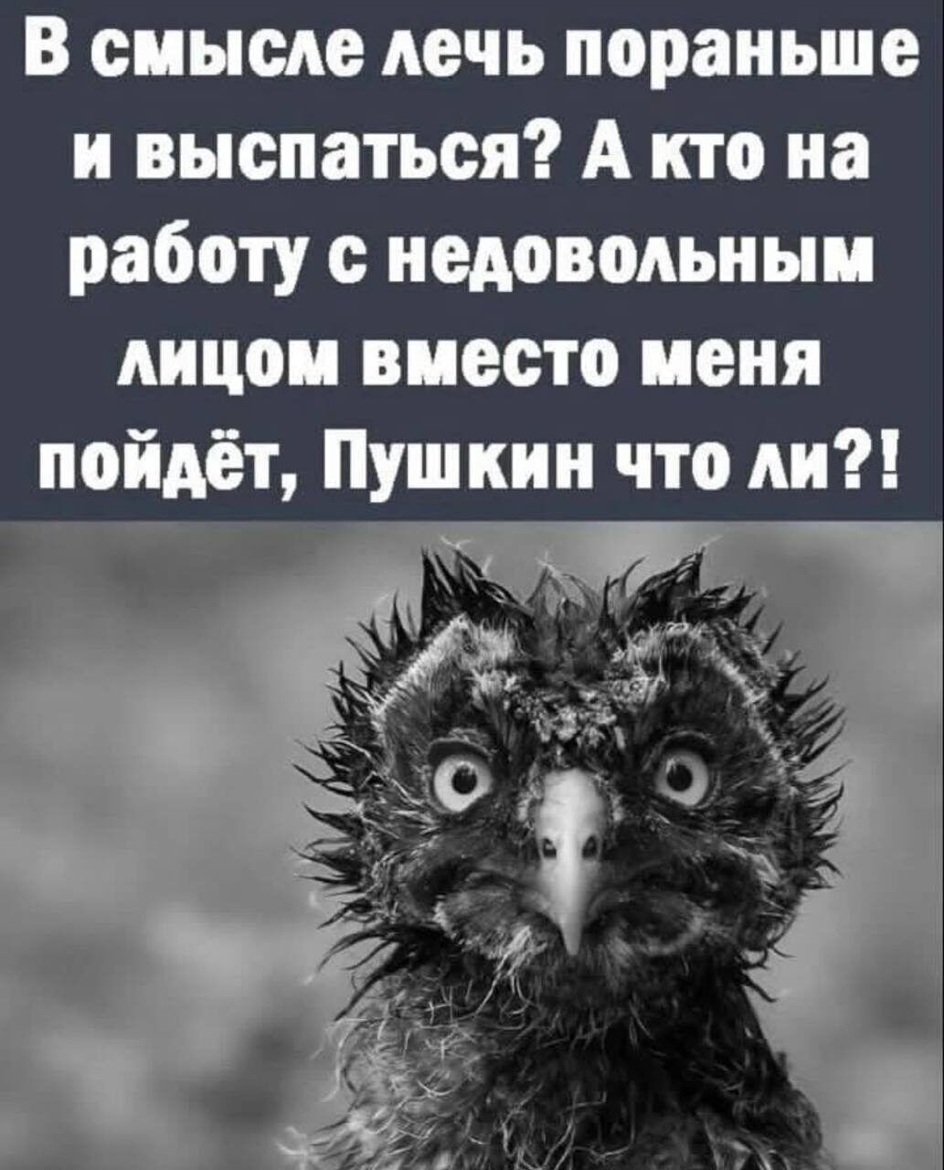 В смысле лечь пораньше и выспаться А кто на работу с нсдовмьиыи лицеи виссто ценя пойдёт Пушкин что ли