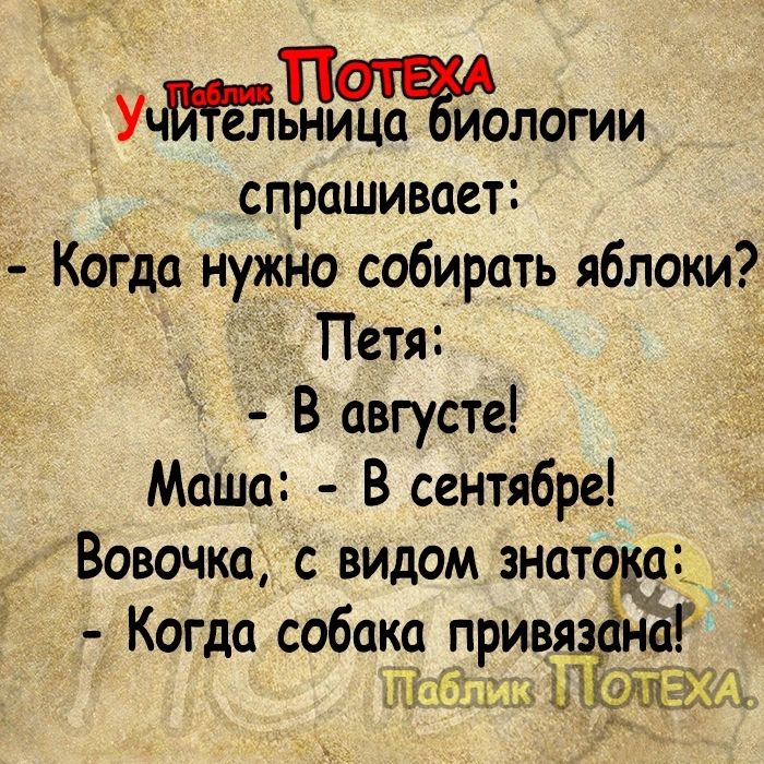 УчИёТ кьъЪца Ёиологии спрашивает Когда нужно собирать яблоки __ Петя В августе Маша В сентябре Вовочка с видом знатодаа 4 Когда собака прив ана ЬЁЁЁЪЫБ