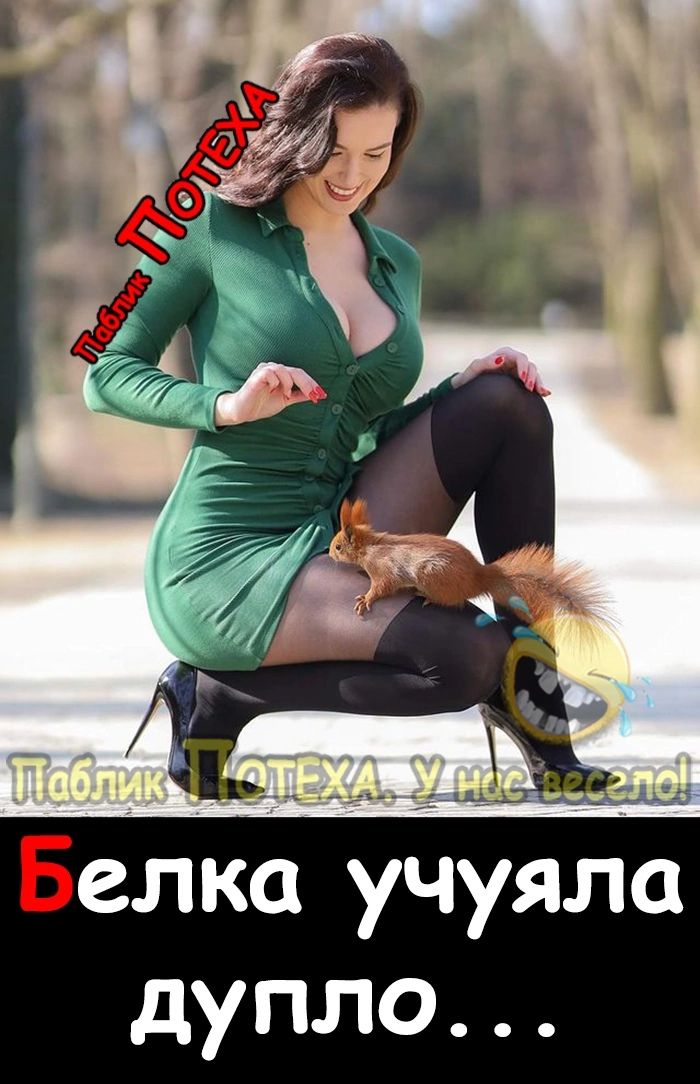 Белка учуяла дупло