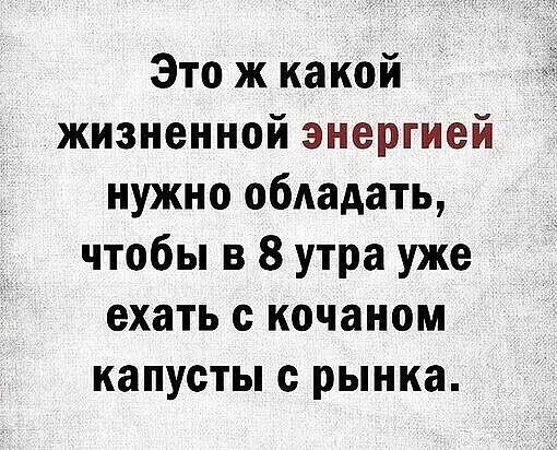 Это ж какой жизненной энергией нужно обладать чтобы в 8 утра уже ехать с кочаном капусты с рынка