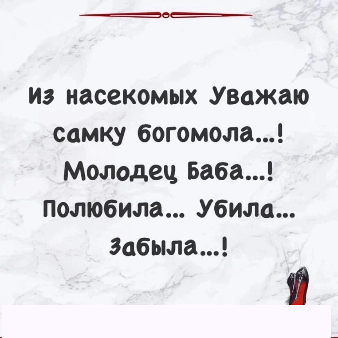 иа насекомых уважаю самку богомола Молодец Баба полюбила Убили 3абыла