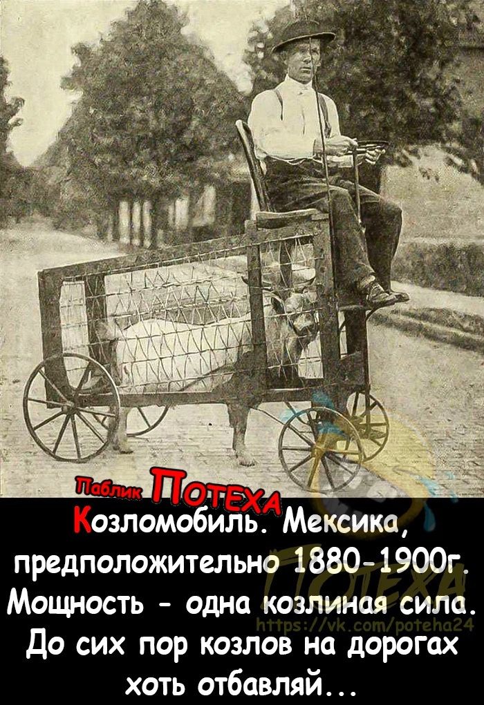 озломобиль Мексика предположительно 1880 1900г Мощность одна козлиная сила До сих пор козлов на дорогах хоть отбавляй