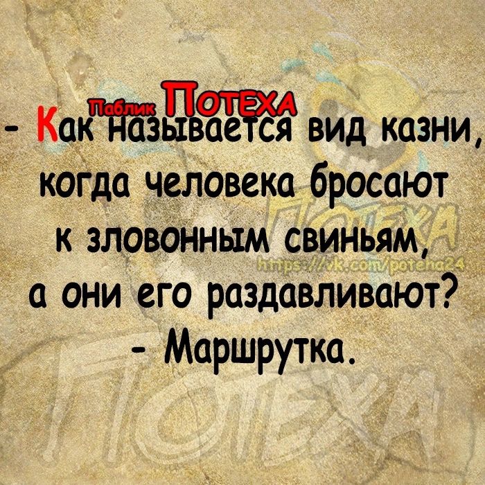 КагЪ вид казни когда человека бросают к зловонным свиньям а они его раздавливают Маршрутка