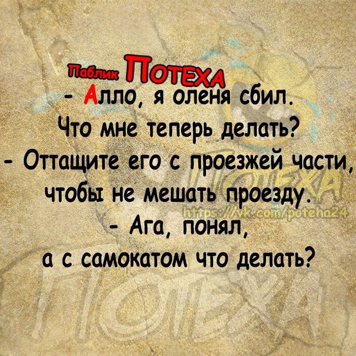 пп П Алла я оленя сбил Что мне теперь делать Оттащите его с проезжей части чтобы не мешать проезду Ага понял а с самокатом что делать ніч