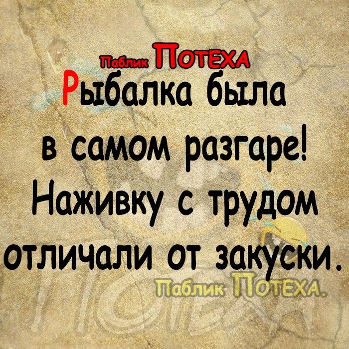 пляПаша _Рьтбалка было всамом разгаре _ НаЖивКу с трудом отличали от зайти 31117