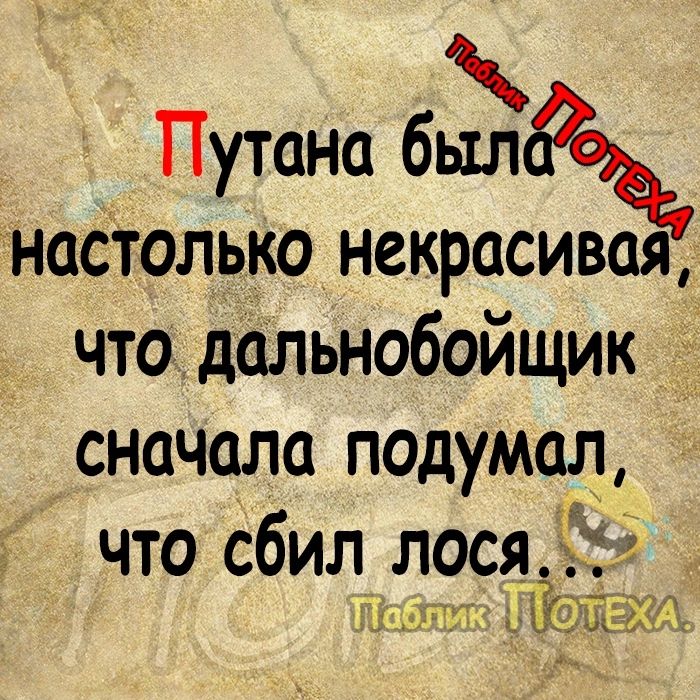 Путана была настолько некрасивая что дальнобойщик 5 сначала подумал что сбил лося Ь д