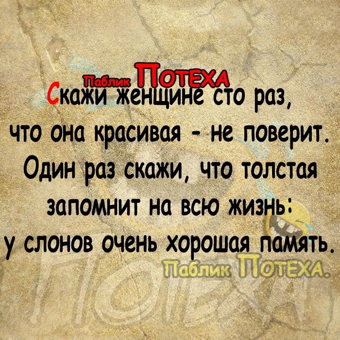 Скажи же и сто раз что она красивая не поверит Один раз Скажи что толстая запомнит на всю жизнЁР у слонов очень хорошая