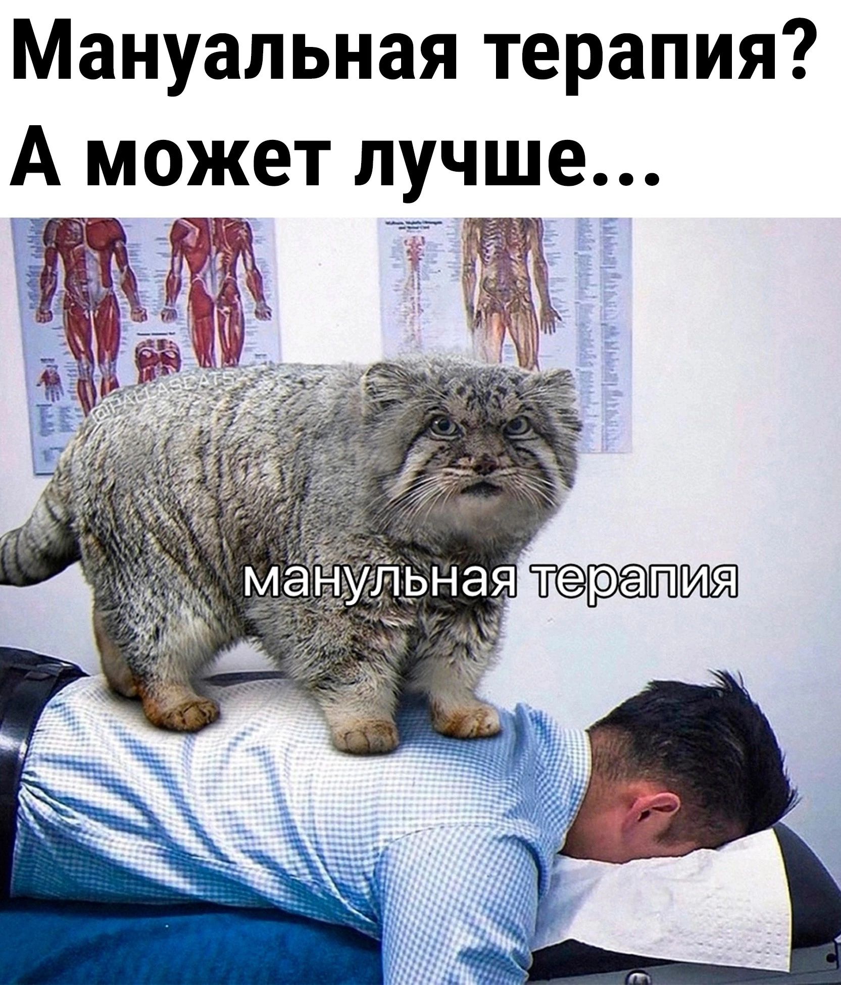 Мануальная терапия А может лучше