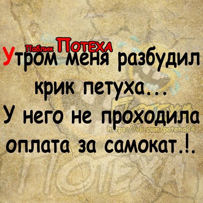 Ут разбудил крик петуха У него Не проходила оплата за самокат