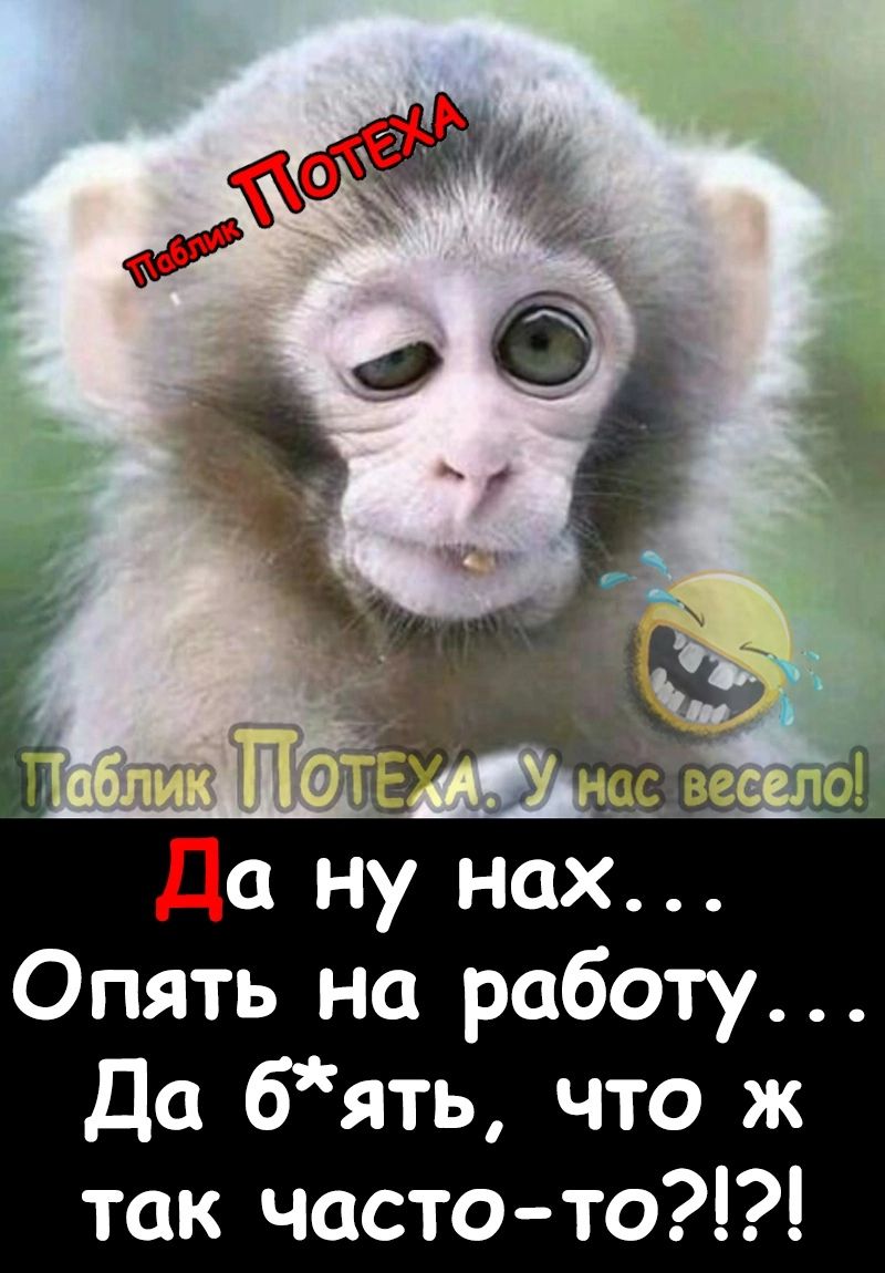 Опять на работу Да бять что ж так часто то