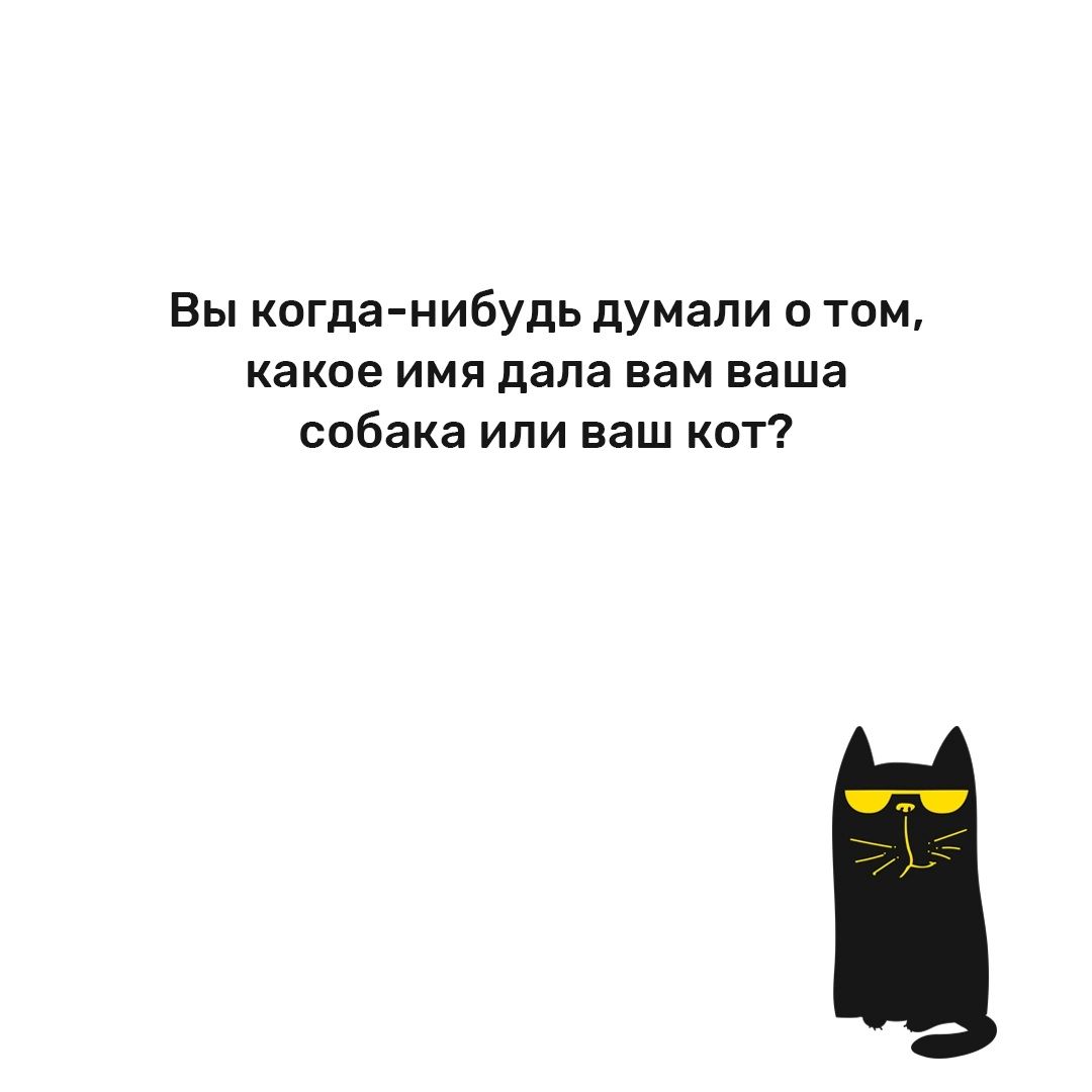 Вы когда нибудь думали о том какое имя дала вам ваша собака или ваш кот