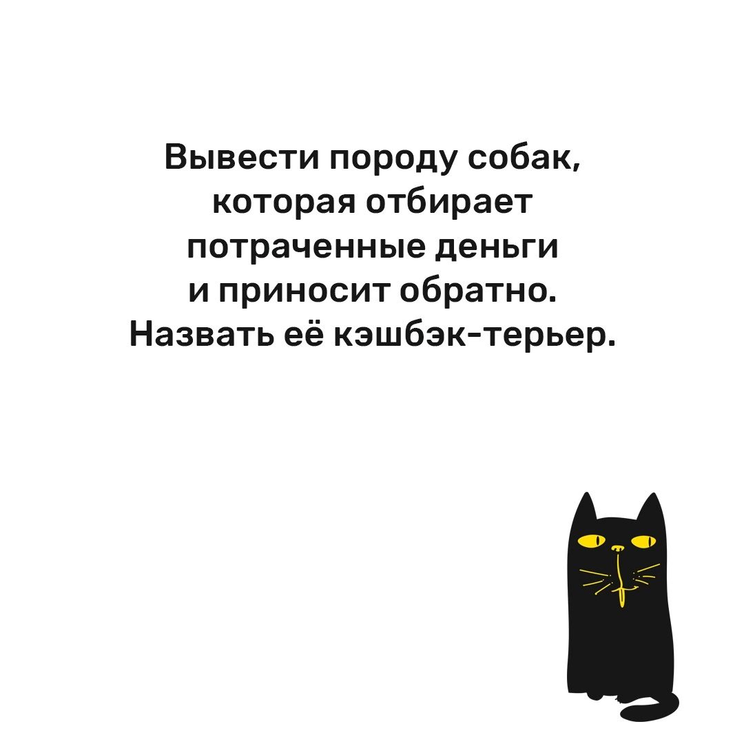 Вывести породу собак которая отбирает потраченные деньги и приносит обратно Назвать её кзшбзк терьер