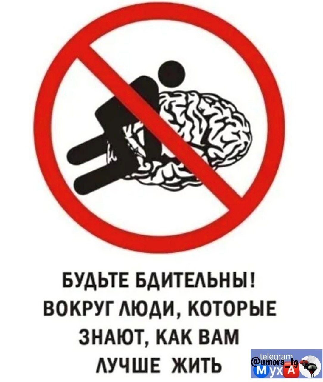 БУДЬТЕ вдитыьныг вокруг АЮАИ которые зндют кдк вдм АУЧШЕ жить