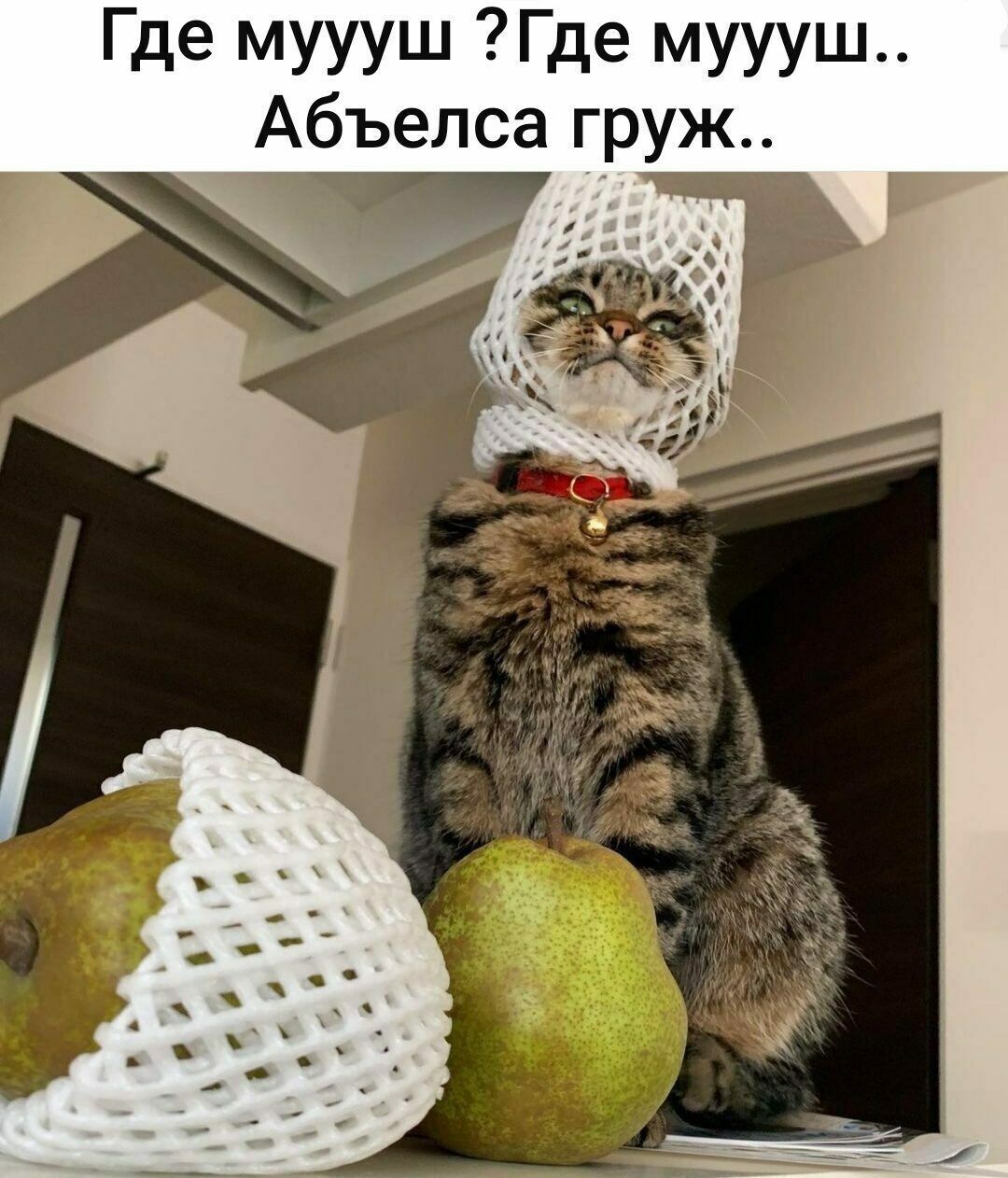 Где муууш Где муууш Абъелса груж