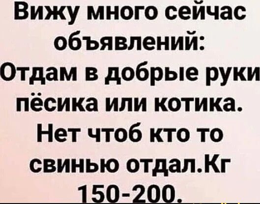 Вижу много сейчас объявлений Отдам в добрые руки пёсика или котика Нет чтоб кто то свинью отдалКг іаа п с ш