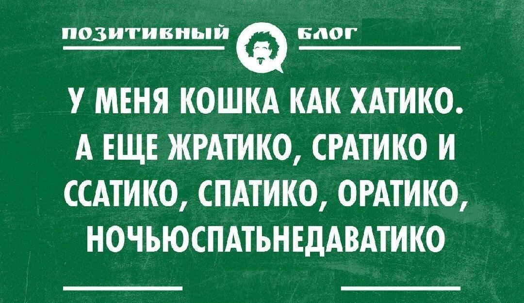 позитивный Блог У МЕНЯ КОШКА КАК ХАТИКО А ЕЩЕ ЖРАТИКО СРАТИКО И ССАТИКО СПАТИКО ОРАТИКО НОЧЬЮСПАТЪНЕДАВАТИКО