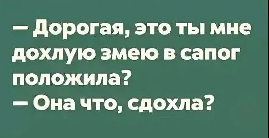 дорогая это ты мне дохлую змею в сапог положила Она что сдохла