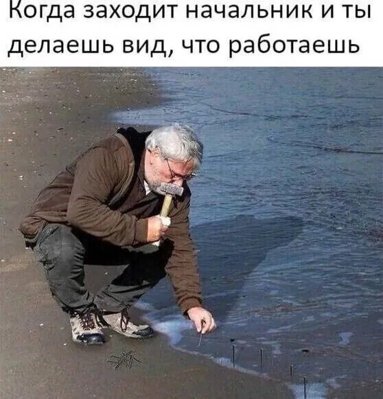 да заходит начальник и ты делаешь вид что работаешь