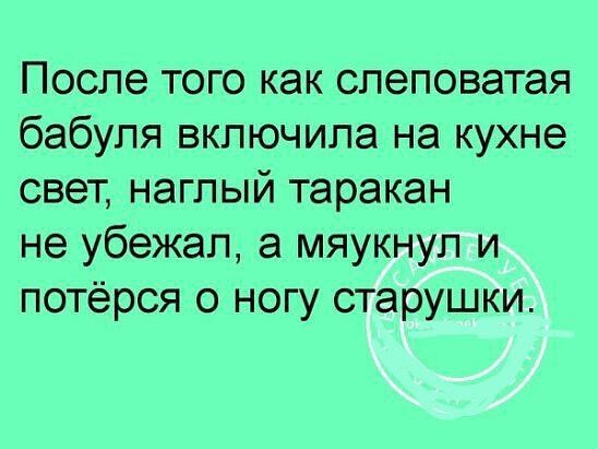 После того как спеповатая бабуля включила на кухне свет наглый таракан не убежал а мяукнуп и потёрся о ногу старушки