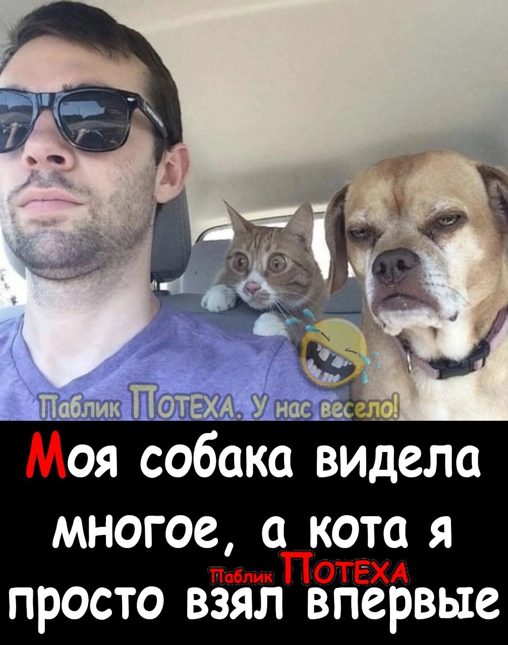 7 г1 оя собака в дела многое кота я просто взял впервые