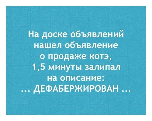 На доске объявлений нашел объявление о продаже котэ 15 минуты залипал на описание ДЕФАБЕРЖИРОВАН