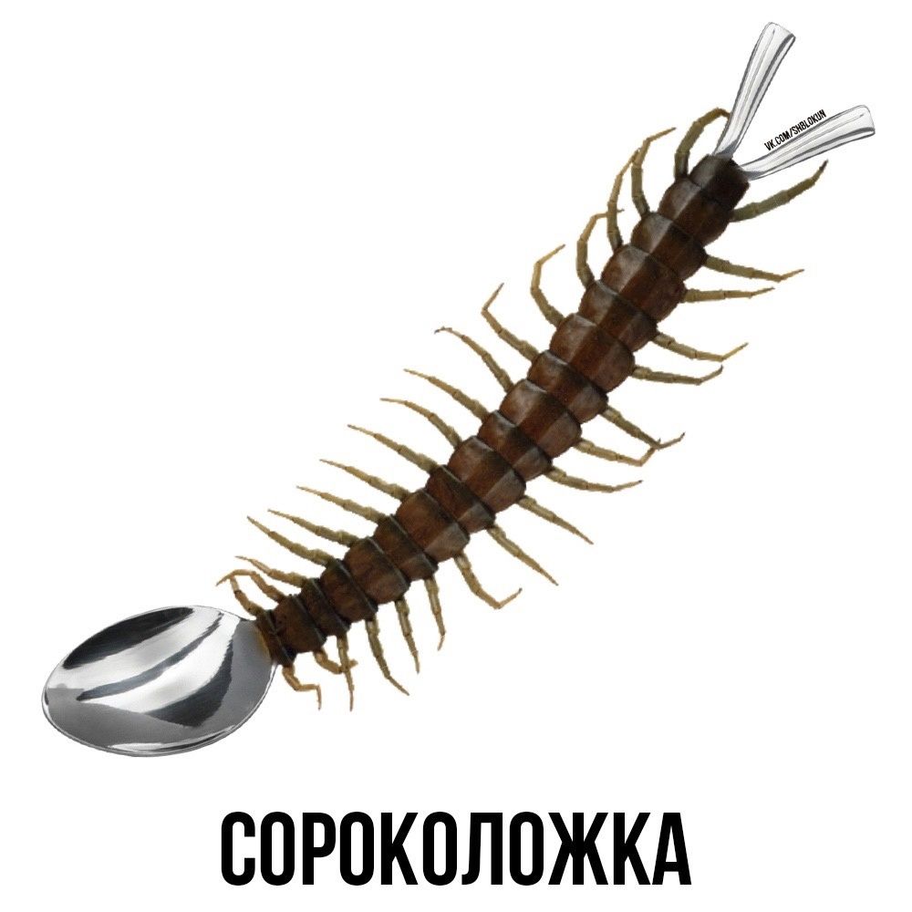 БПРПКПЛОЖКА