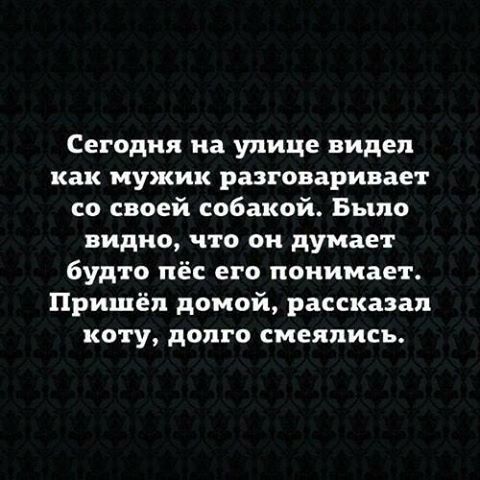 Сегодня на улице видел как мужик разговаривает со своей собакой Было видно что он думает будто пёс его понимает Пришёл домой рассказал коту долго смеялись