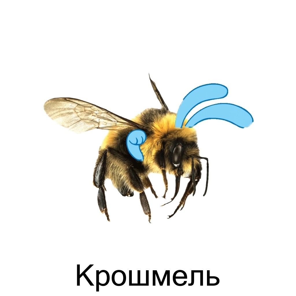 Крошмель