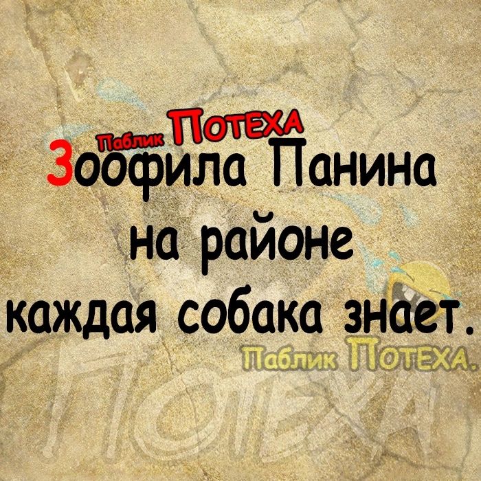 _ зобчзЫЖанина на районе каждая собака знітет Ёсыгть КСЁЁЁЪ